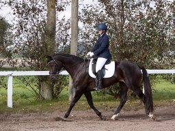 2017 Udkantscup dressur ØLR september